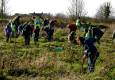 Tree planting extravaganza