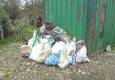 Rubbish cleared from the woods