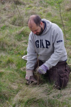 Sefton showing the correct way to plant a tree.